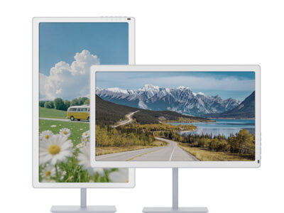 Bigme B251 PRO