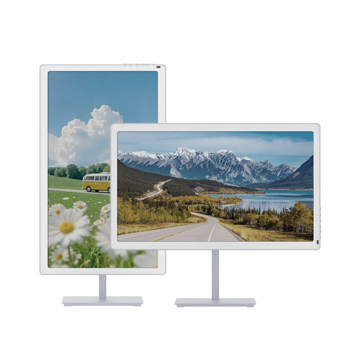 Bigme B251 PRO