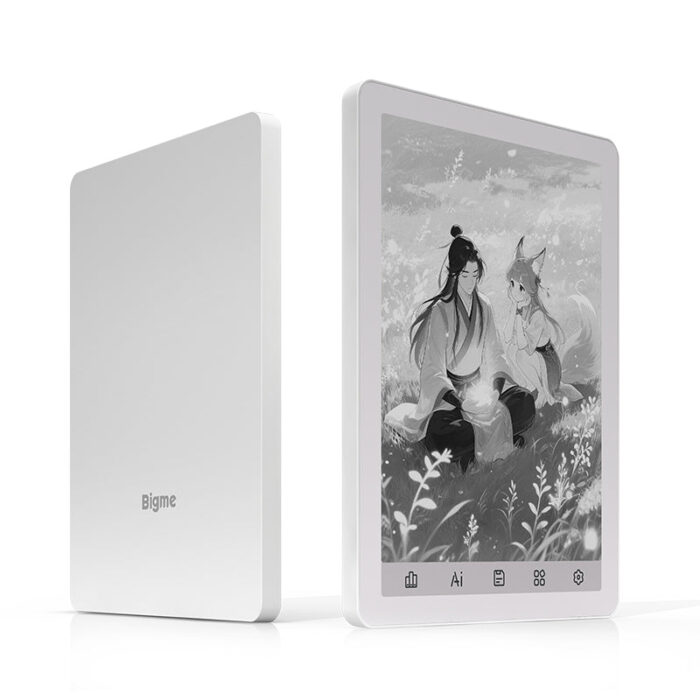 Bigme B6 (Black & White)