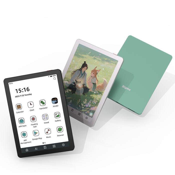 Bigme B6 (Color)