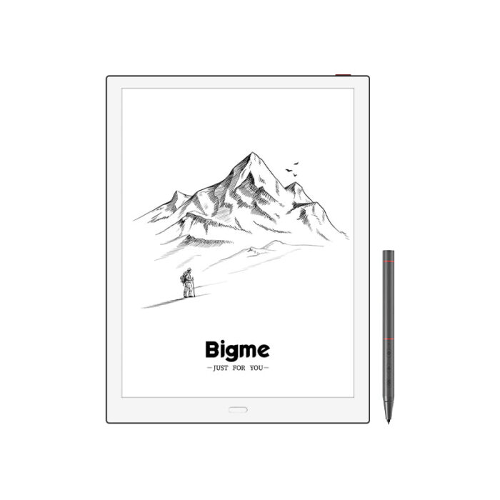 Bigme X6