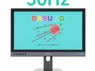 Dasung Paperlike 253 Color