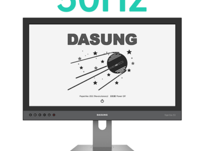 Dasung Paperlike 253 (Dark Knight)